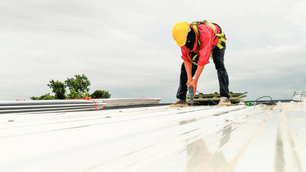 Best Gutter Installation and Repair  in Woodstock, AL